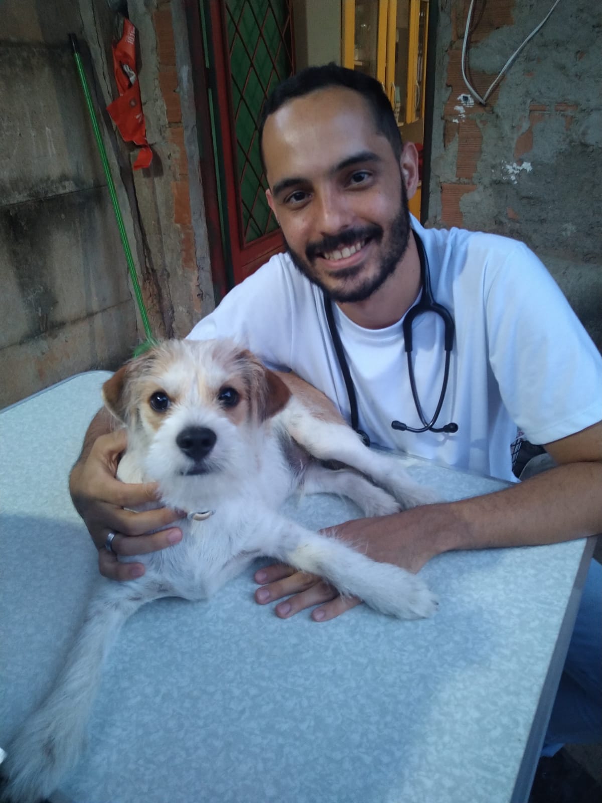 Atendimento veterinário domiciliar