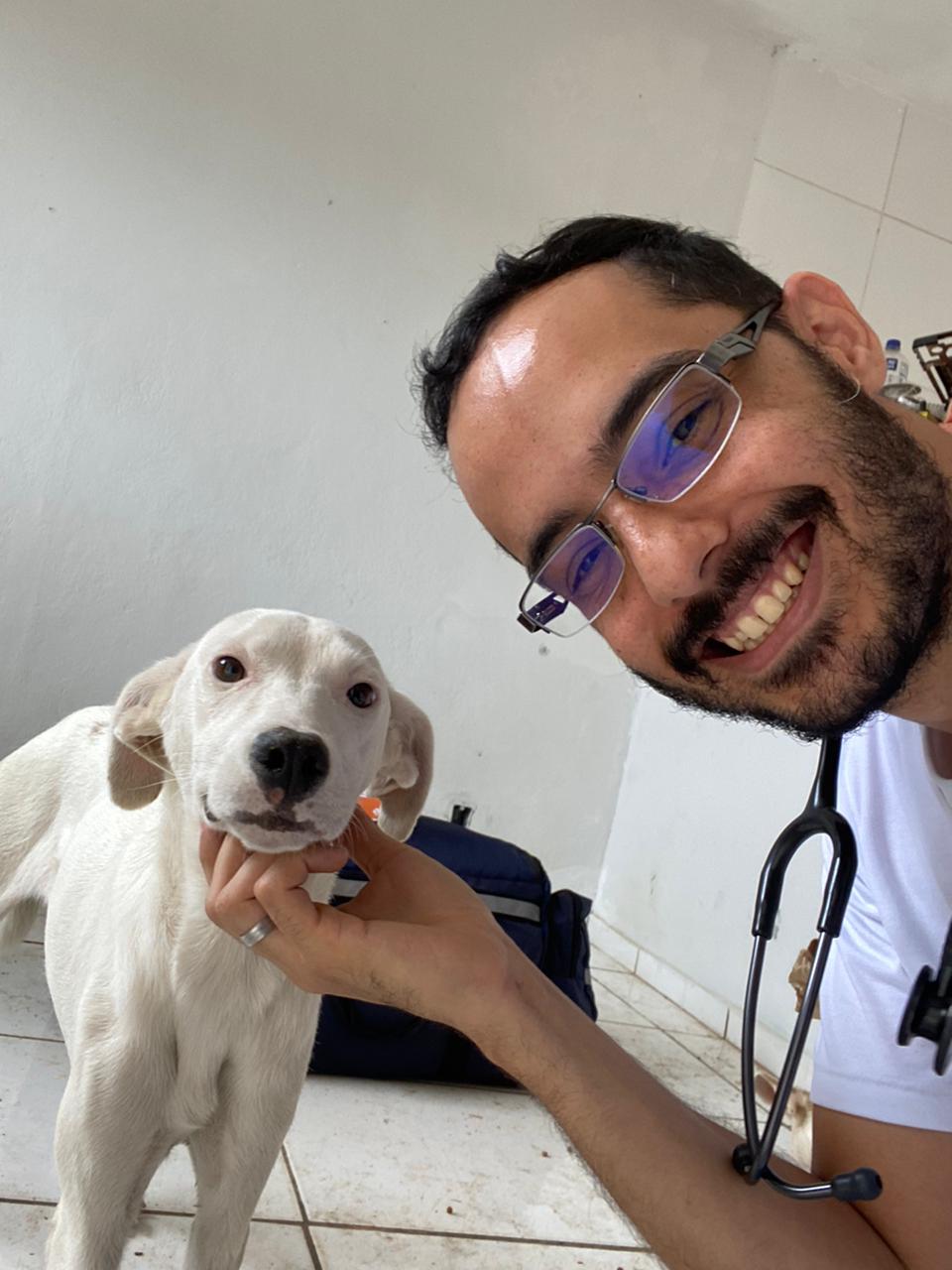 Consulta veterinária