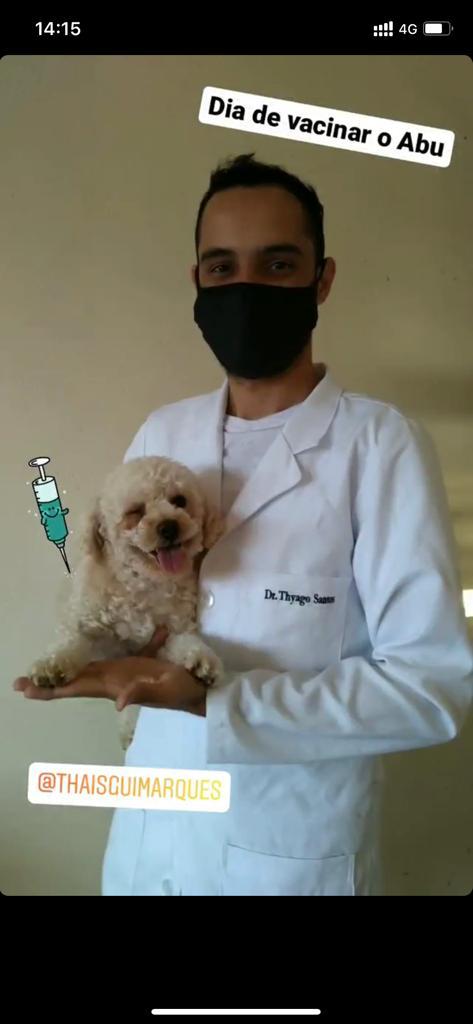 Dia de vacinação